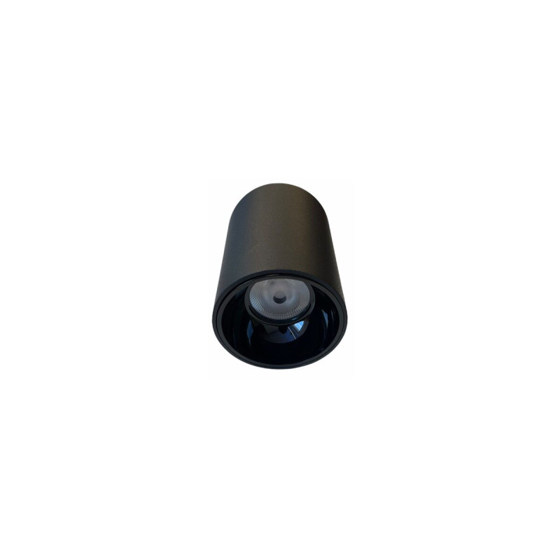 10W IP65 Griestu LED Gaismeklis AIP-IP106
