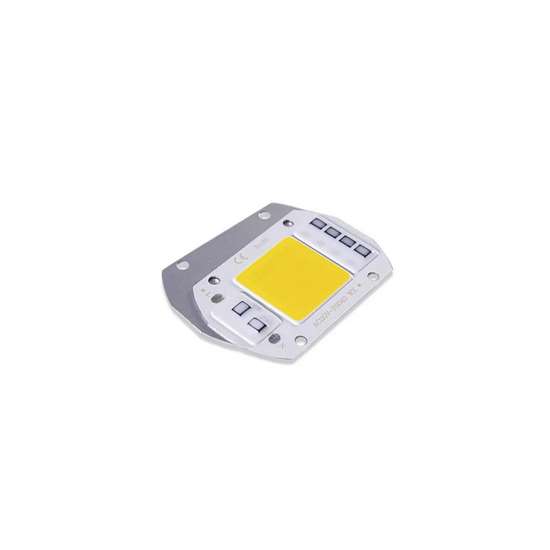 20W/50W LED Modulis 220V Jauda: 50W Gaismas krāsa: 5000K